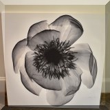 A05. Framed canvas art of a poppy from Ikea. 36rdquo; x 36rdquo; - $18 